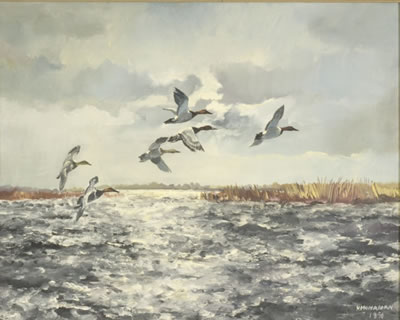 Canvasbacks