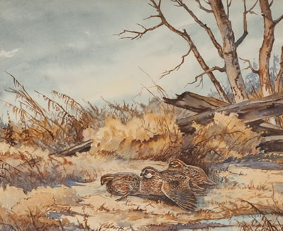Bath and Lodging - Quail