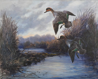 Green-Winged Teal