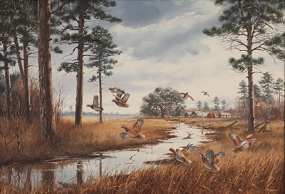 Quail