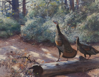 Gobblers