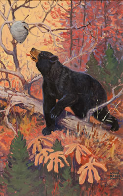 Bear