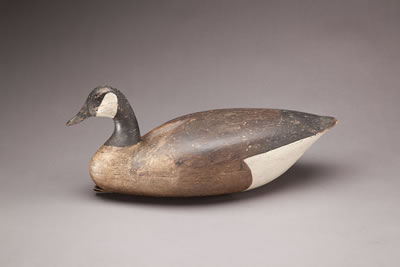 Canada Goose