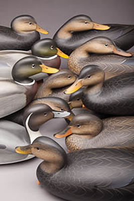 Twelve Puddle Ducks