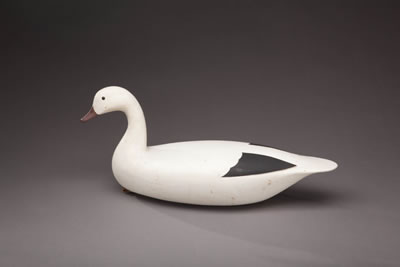 Snow Goose