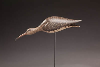 Life-Size Running Whimbrel