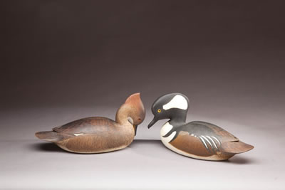 Hooded Merganser Pair
