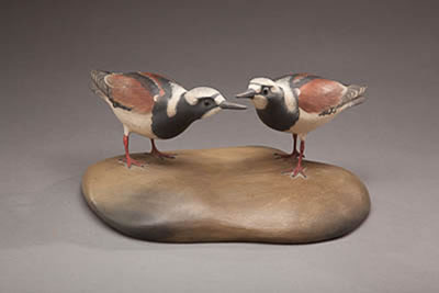 Ruddy Turnstone Pair