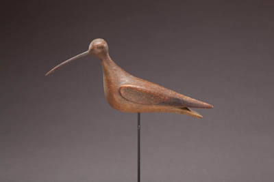 Eskimo Curlew
