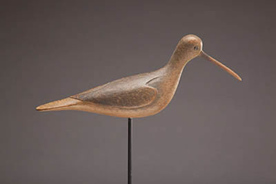 Eskimo Curlew