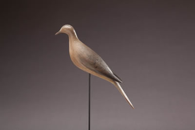 Dove