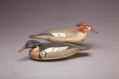 Red-Breasted Merganser Pair