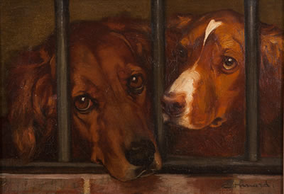 Two Dogs