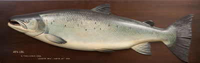Atlantic Salmon by John Tully - Auction record, sale price, and art valuation. Compare with similar artists and explore comparable artworks.