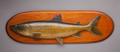 Lake Trout