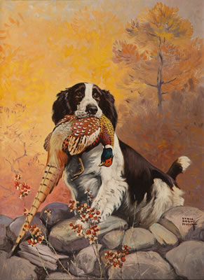 Springer with Pheasant