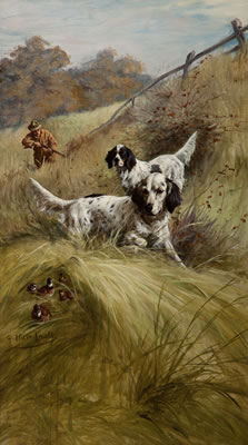 On Quail