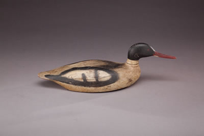Red-Breasted Merganser Drake by Allen Stuart - Auction record, sale price, and art valuation. Compare with similar artists and explore comparable artworks.