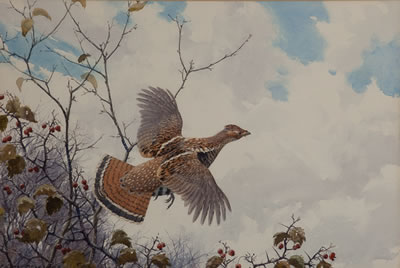 Grouse and Thorn Apple