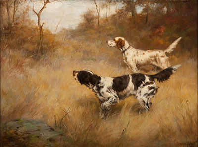 Setters on Partridge