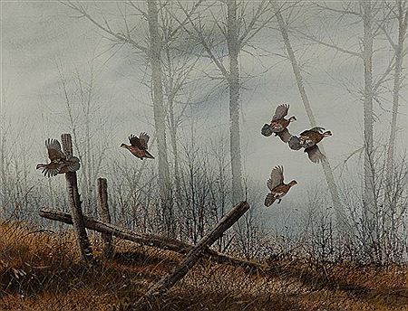 Woodlot Quail