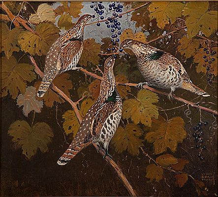 Ruffed Grouse in the Wild Grapes