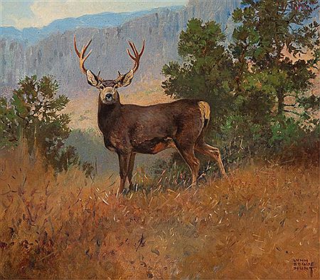 Big Buck
