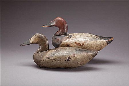 Canvasback Pair