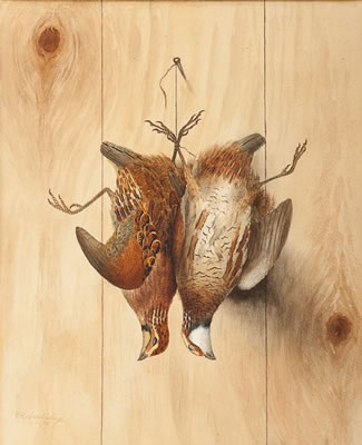 Hanging Quail