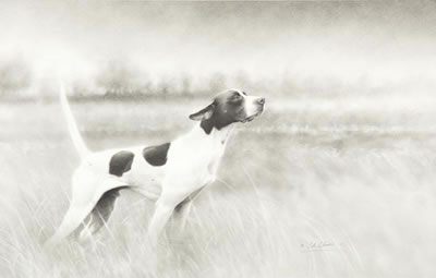 Elhew Dog