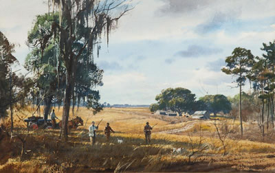 Quail Shooting