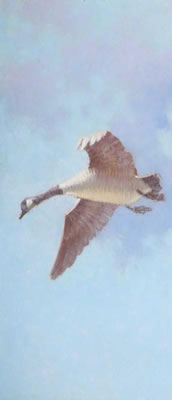 Canada Geese Triptych