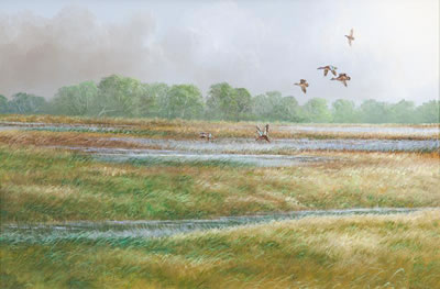 Okeechobee Bluewings