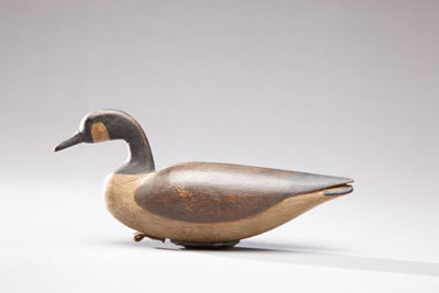Miniature Canada Goose