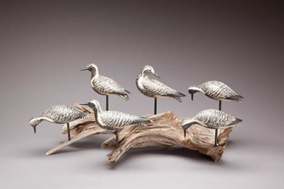 Rig of Six Plover