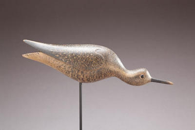 Running Golden Plover