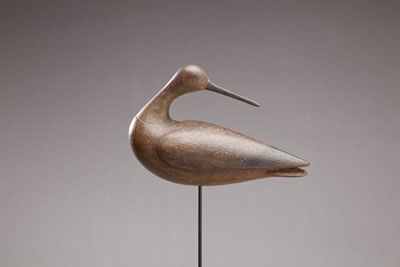 Turned-Head Yellowlegs