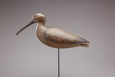 Hollow Curlew