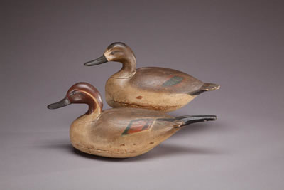 Pintail Pair