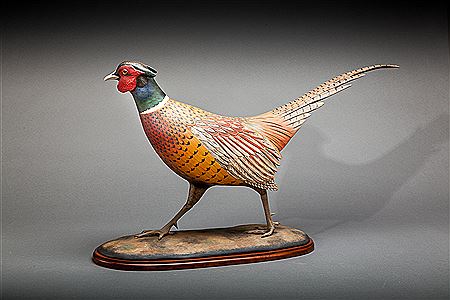 Ring-Necked Pheasant