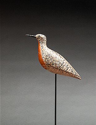 Robin Snipe