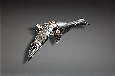 Flying Brant