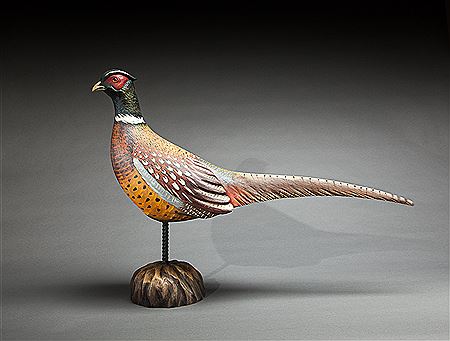 Life-Size Ring-Necked Pheasant