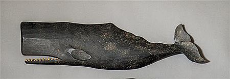 Large Sperm Whale