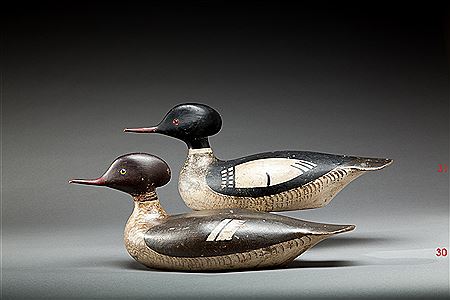 Red-Breasted Merganser Drake by George H Boyd - Auction record, sale price, and art valuation. Compare with similar artists and explore comparable artworks.