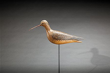 Eskimo Curlew