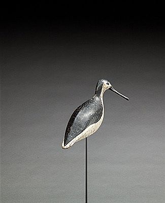 Turned-Head Yellowlegs