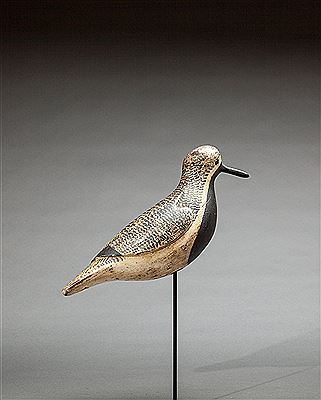 Plover