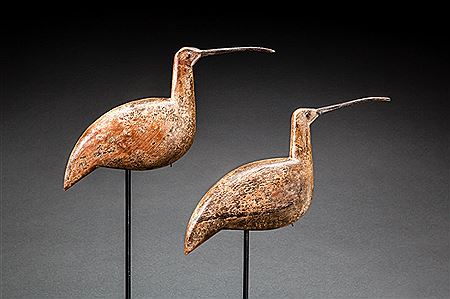 Early Curlew Pair