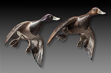 Flying Bluebill Pair